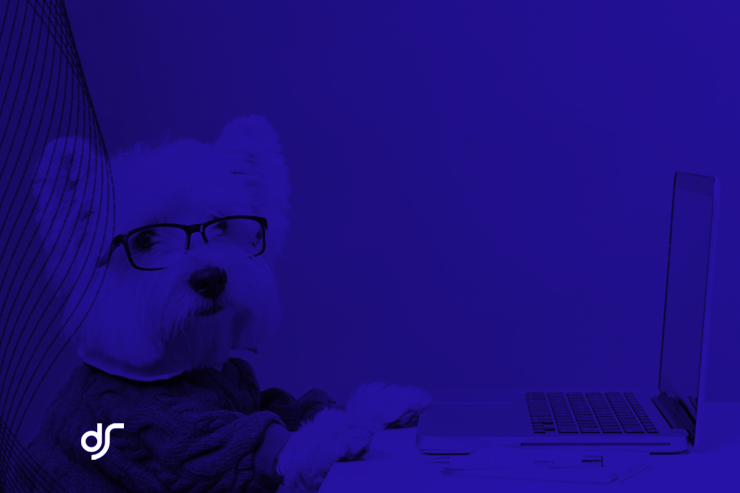 estrategias-de-marketing-para-pet-shop